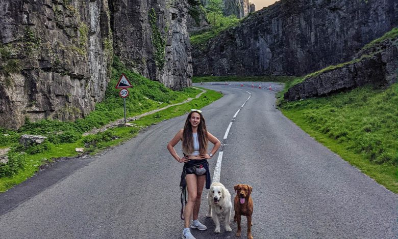 A girl standing in front of landscape with 2 dogs.