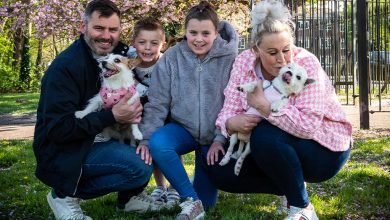 A family holding two westie dogs