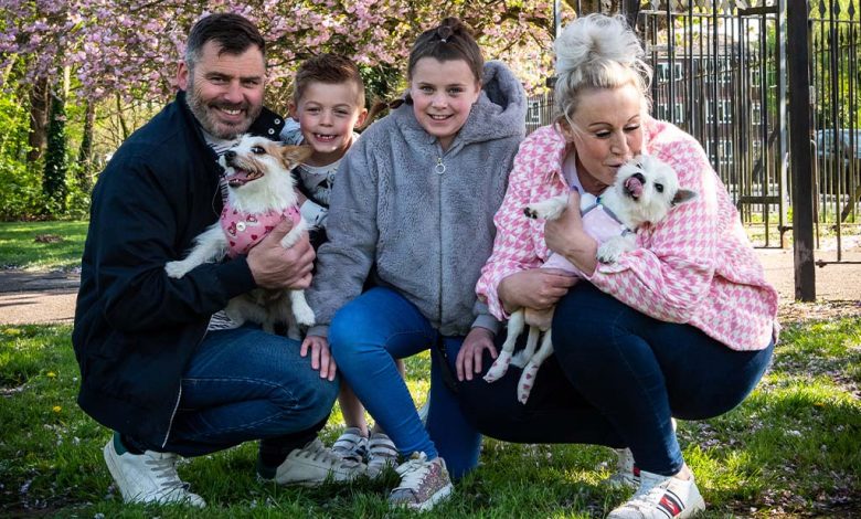 A family holding two westie dogs