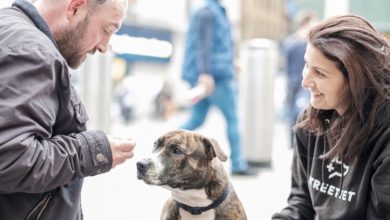 A dog with a woman and a man giving the dog a treat.