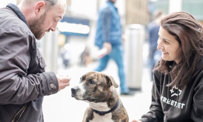 A dog with a woman and a man giving the dog a treat.