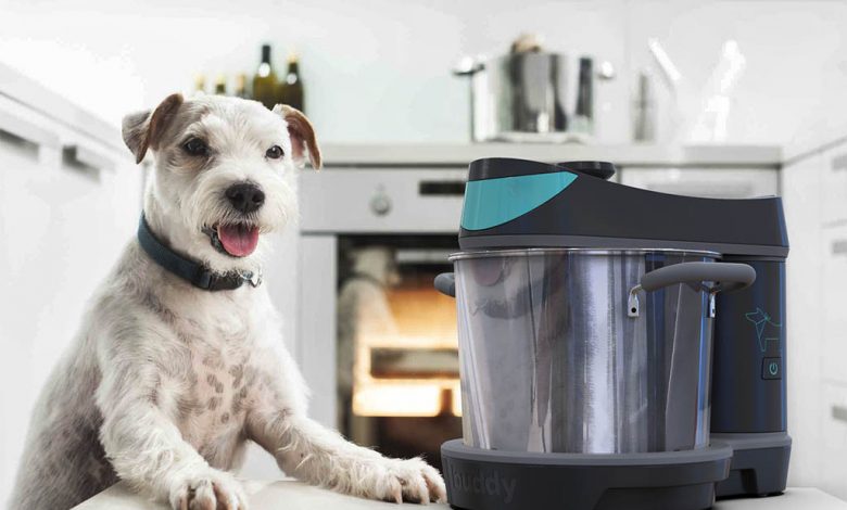 dog in kitchen