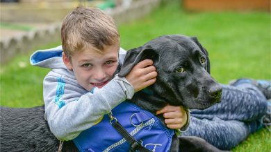 Child with a support dog