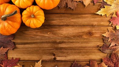 Pumpkins on a table