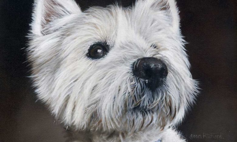 Westie photograph