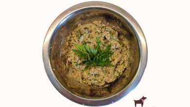 Bowl of dog food