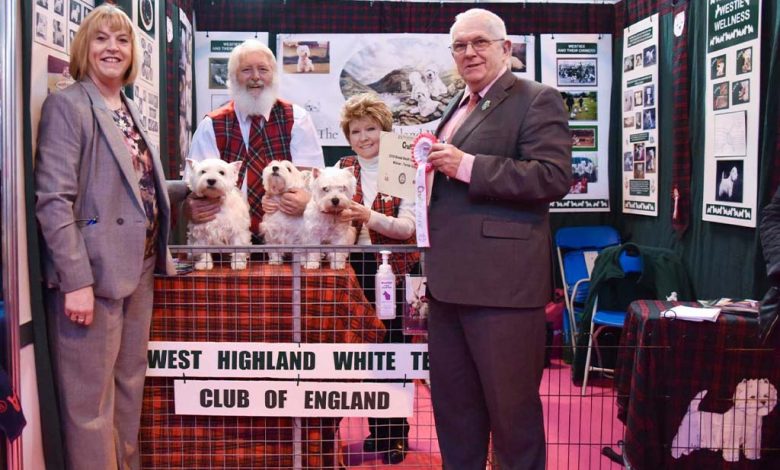 Westies at Crufts