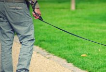 Man holding lead