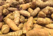 Turmeric